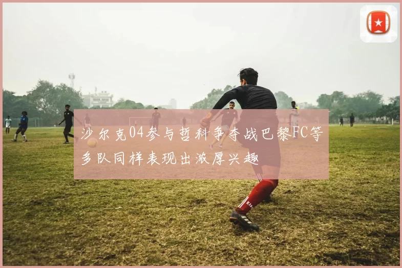沙尔克04参与哲科争夺战巴黎FC等多队同样表现出浓厚兴趣